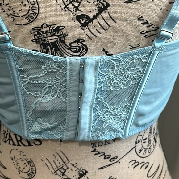 Victoria’s Secret Blue Lemon Corset - Picture 7 of 10